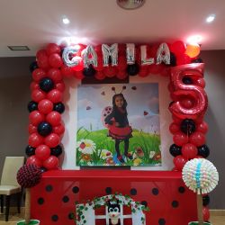 decoracion con globos de mariquita madrid