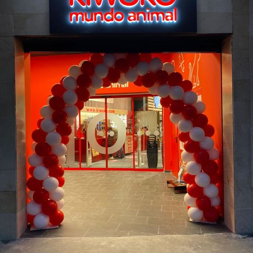 ARCO DE GLOBOS KIWOKO MADRID VELAZQUEZ