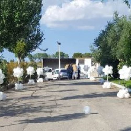 20196294 10213691608712553 788383672 o