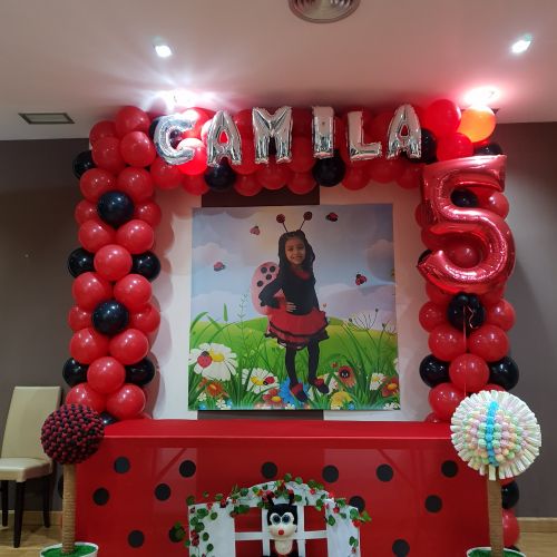 decoracion con globos de mariquita madrid